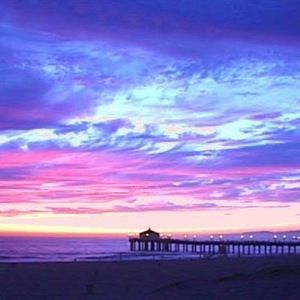 Meet your Posher, Ella